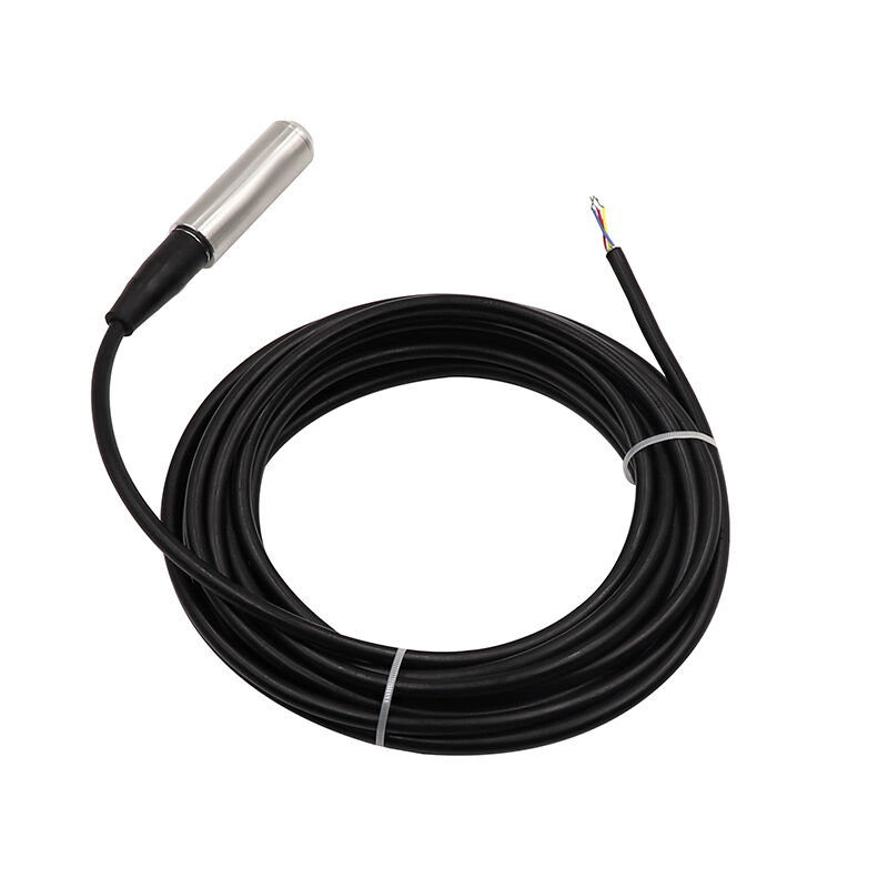 WNK 4~20mA 0-10V RS485 Edelstahl-Wasserbehälter-Niveau-Sensor für Flüsse und Seen