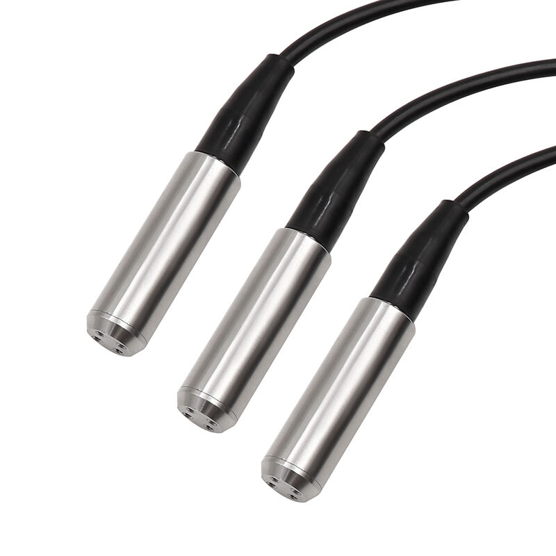 WNK 4~20mA 0-10V RS485 Edelstahl-Wasserbehälter-Niveau-Sensor für Flüsse und Seen